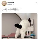 간식창고 이미지