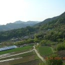 번암동화로 이미지