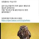 13회 이미지