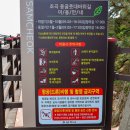 삼척 여행코스 초곡용굴촛대바위길 출렁다리 둘레길 입장시간 및 소요시간 주차장