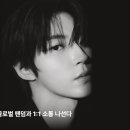 하이앤드 티브이데일리