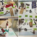 꿩대신닭 이미지