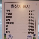 1987대패집 이미지