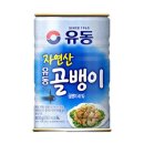 올바른i태권도 | 잠에 들기만을 기다리며 사는 좀비