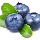 블루베리 많이 먹으면 부작용 블루베리 하루 섭취량 이미지