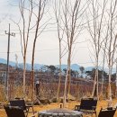 쉼 토평리 이미지