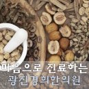 광진기전 이미지