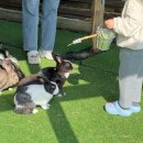 위드목장 이미지