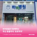 호호약국 이미지