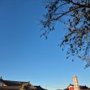 이풍녀 구로쌈밥 | [경주] 첨성대 앞 밥집! 호불호없는 한식, 이풍녀 구로쌈밥 방문 솔직 후기