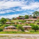 호남센터-101 이미지