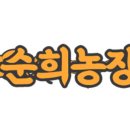 순희농장 이미지