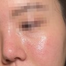 속 건조 잡는 비건 화장품, 에코비 세라마이드 크림 구매 후기