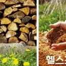 흙처럼아쉬람 이미지