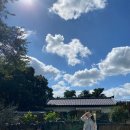 서광이지 | 서귀포 감성숙소 서광이지ღ 서광룸 솔직후기 제주 독채 자쿠지 숙소