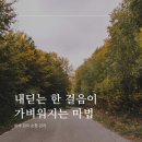 이코웨이브에스테틱 - 제천시 신죽하로 39 | 이코웨이브에스테틱