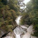 들꽃향기 펜션 이미지