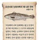 민어도 티스토리
