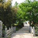 송학사 Daum카페