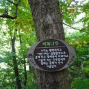 수도산자연휴양림 이미지