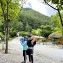 솔향가득 봉화캠핑장 | [봉화] 봉화솔향가득 서울 캠핑장은 추억속으로... 마지막 솔향가득캠핑장!!