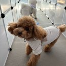 신림유치원 이미지