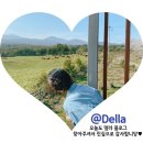 호두네 | 이 맛 실화?! 수제 호두네 호두과자 택배 주문 후기