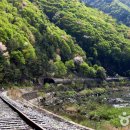 새재자전거길 6 이미지