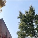 경향신문 별관 이미지