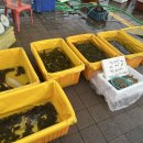 민속의집 화장실 | [내돈내산] 성남 모란민속5일장 주차, 영업시간 등! 명란, 된장, 닭발 구매 후기❤️ (4,9일 장)