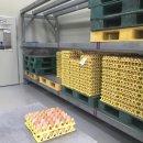 성계농장 이미지