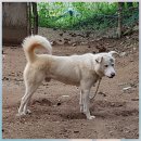 자룡농장 이미지