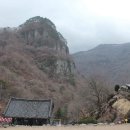 충청도(생)약초 | [박정진의 차맥] 〈49〉 조선의 선비 차인들 ⑦ 퇴계·화담·율곡