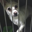 펫토피아 동물병원 이미지