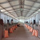 거창 오로라 승마장 이미지