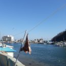 만만한 게 홍어 거시기라던데 이미지