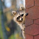 주식회사 비메디컴퍼니 | [SSA 업무일지 #마케팅팀]2026년 네이버 검색 포털 변화: 네이버 함께 많이찾는 영역을 주목하세요_상생...