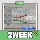 종합광고일광상사 | 후회 없는 일광피티 선택 기준