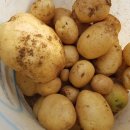 도자농장 이미지