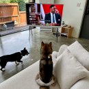 스테이우드 이미지