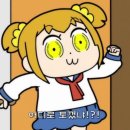 팀메리 이미지