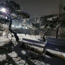 수점로-1 | 의령점집 가게 창업 준비 중 불안함 털어내고 온 지장사스님 방문 솔직 후기