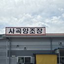 [공주] 공주 가볼 만한 곳 시음 가능한 사곡양조장 밤막걸리 후기