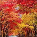 구름바다 이미지