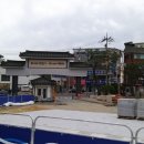 시청 소나무 이미지