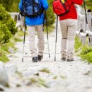 선암골생태유람길 이미지