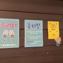 맨앤독 애견카페 네이버블로그