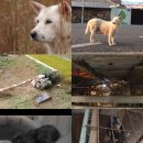 돌무덤농장 이미지