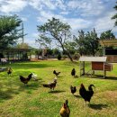 에코팜농장 이미지