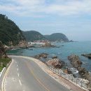 헌화로 Daum카페